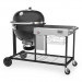 Barbacoa Weber® Summit Charcoal Grilling Center