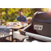 Barbacoa Weber Spirit E-315 GBS