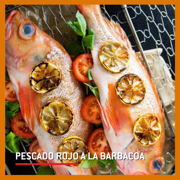 Curso Weber Grill Academy MAESTROS DEL MAR N.3 - 4 DE OCTUBRE